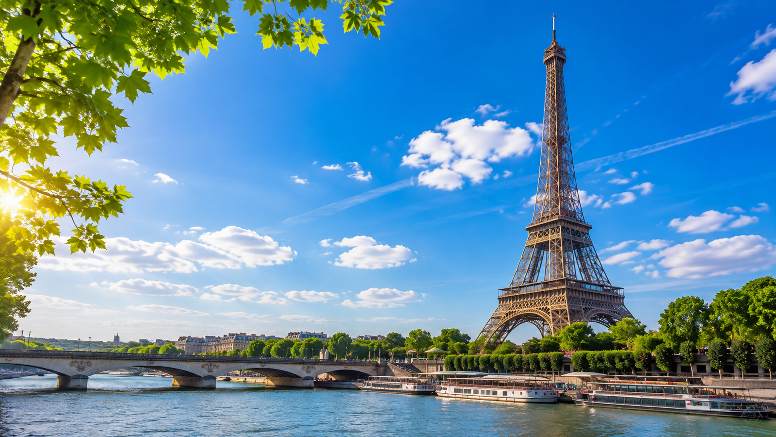 Tours & Activities